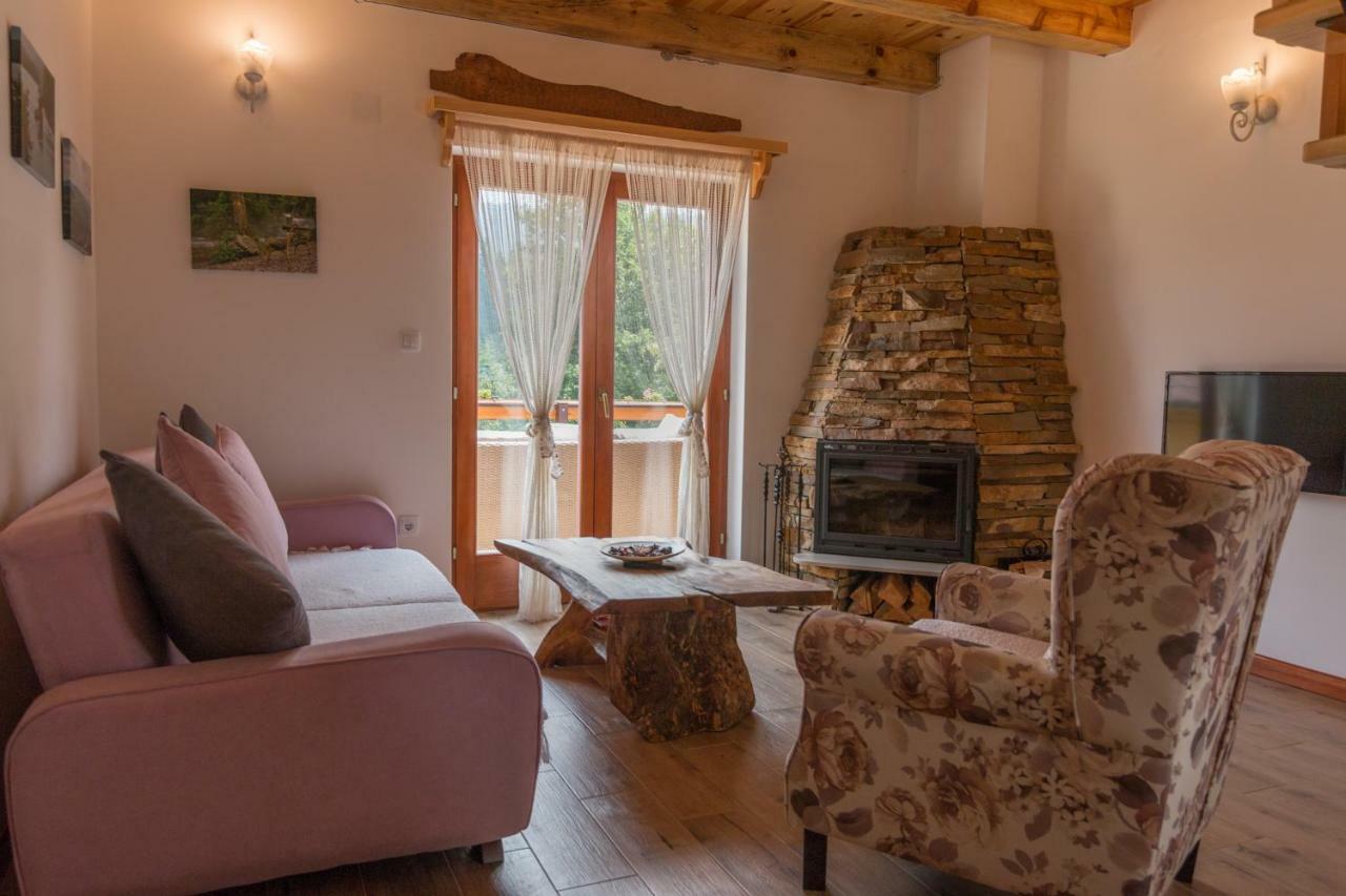 Mountain House Popovic Tara Villa Bajina Basta Exterior photo