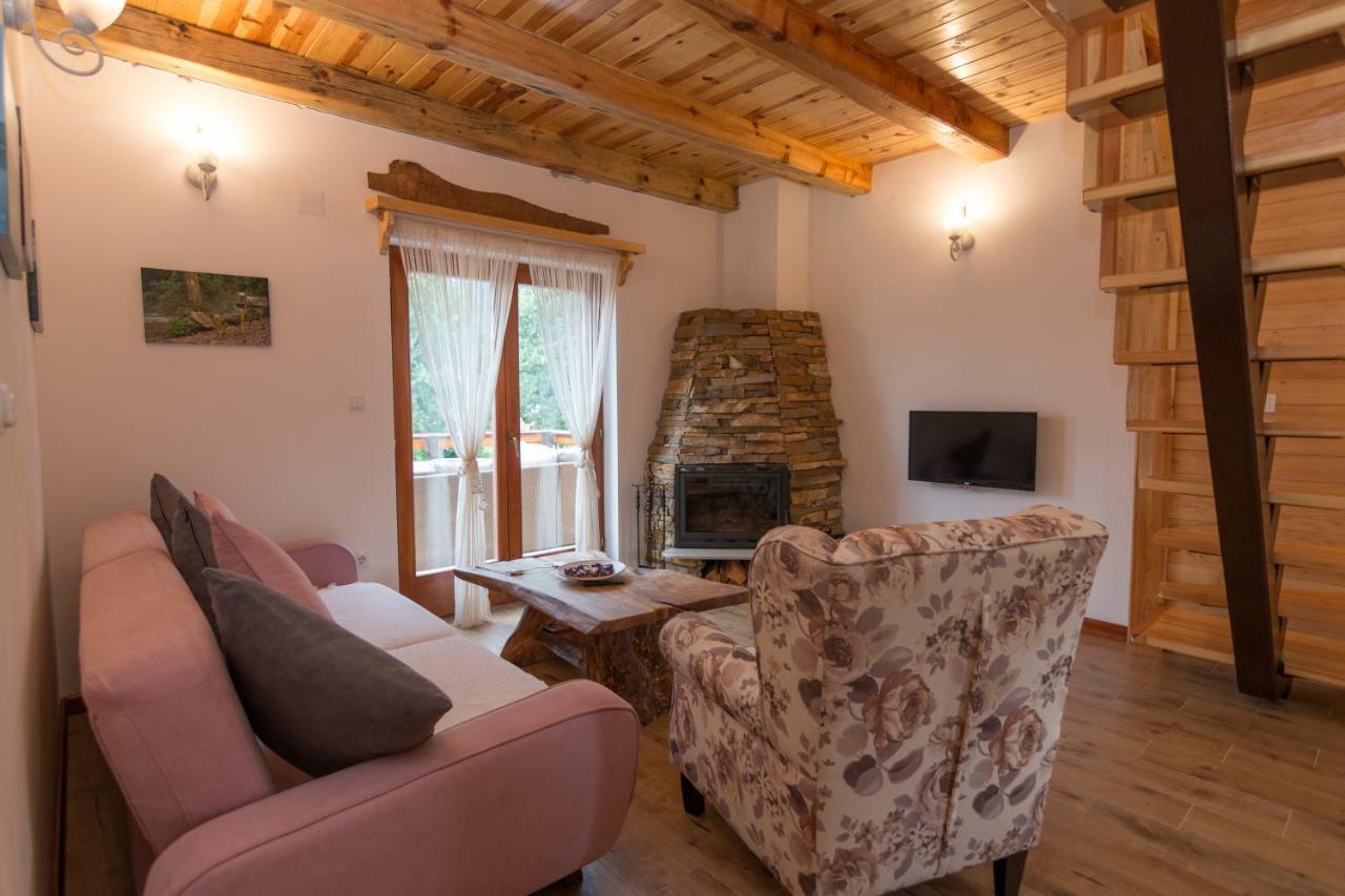Mountain House Popovic Tara Villa Bajina Basta Exterior photo